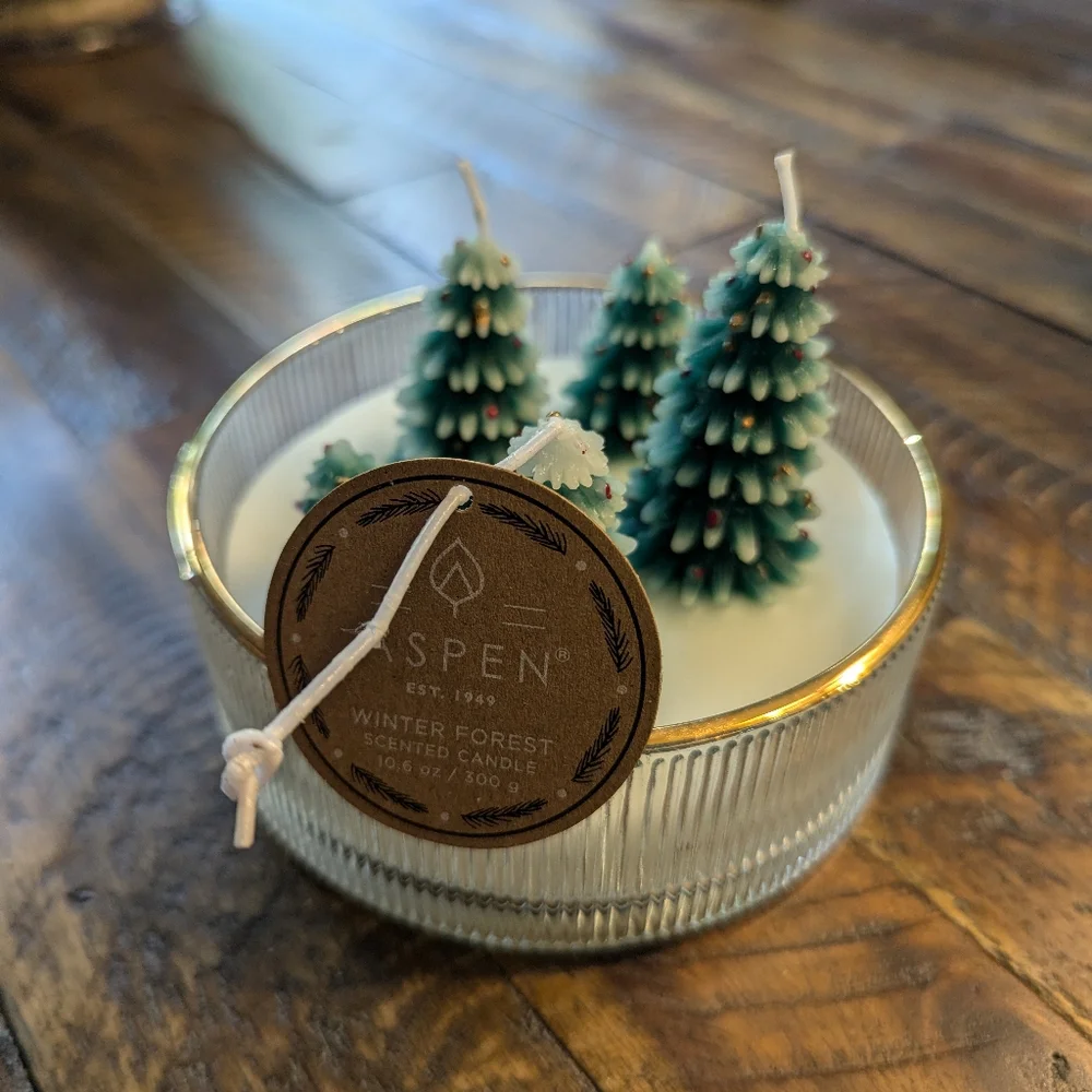 Viral Aspen Christmas Tree Candle Tiktok
